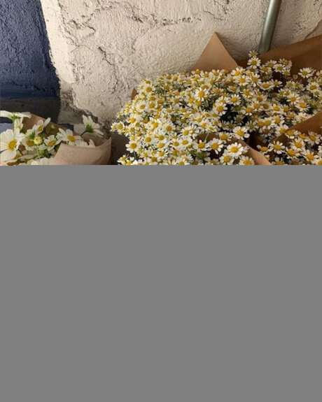 VIP ONFLYFEET_ star du porno gratuit galeries