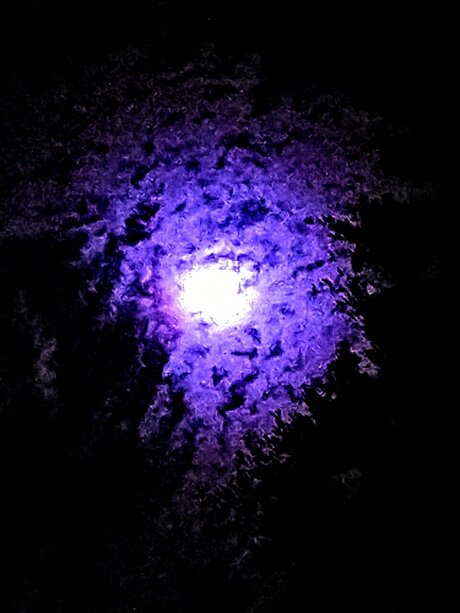 WireFramed étoile adulte galeries