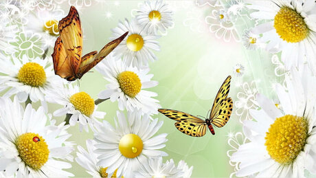 fans de gros seins asiatiques uniquement nu sexy photo