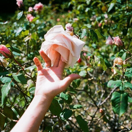 Miss Laia modèle pornographique galerie