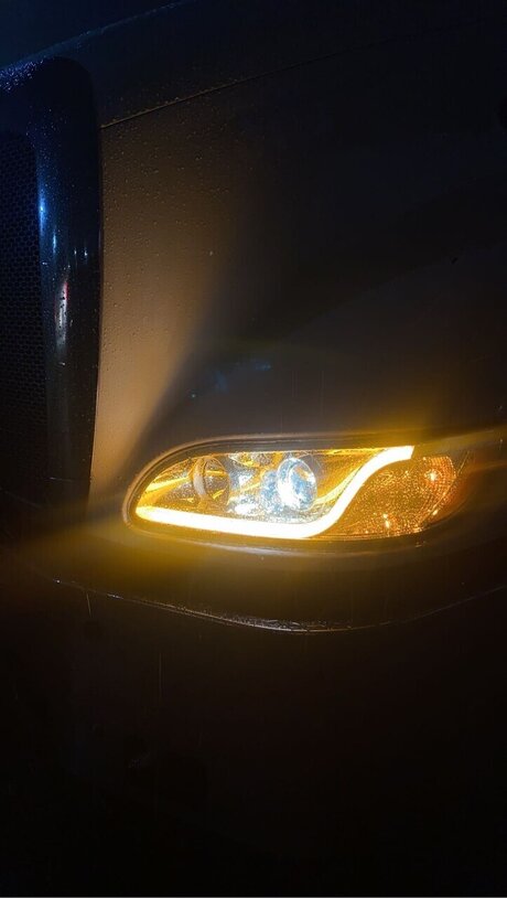 Ceecee DeVille étoile adulte archive