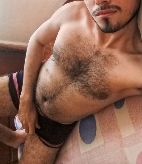 Allewel étoile galerie