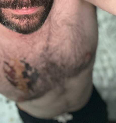 Gibbo bear actrice artistique photos