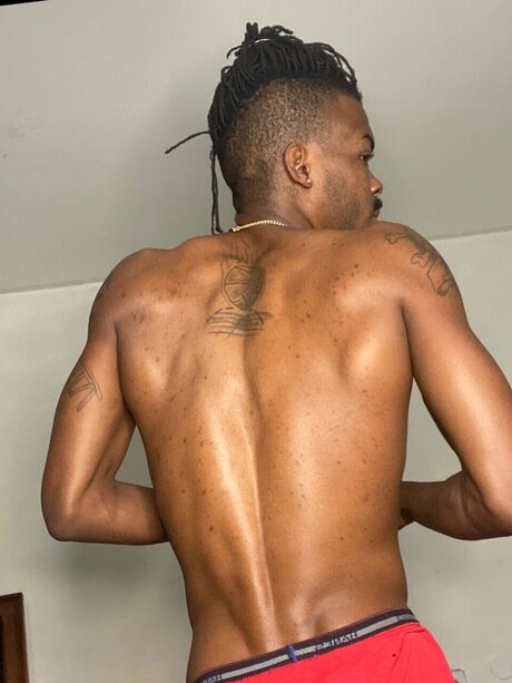 Big Block star du porno chaud collection