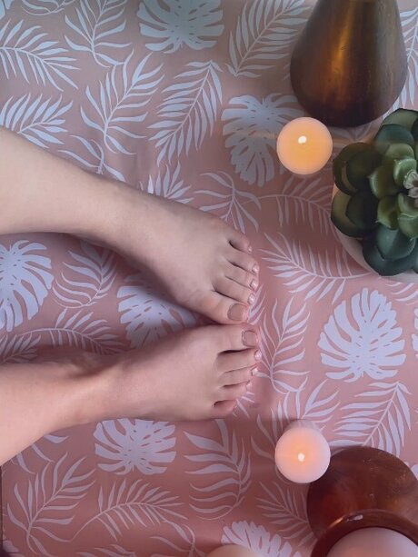 fans en fauteuil roulant uniquement art parfait collection