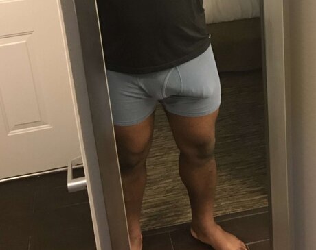 Big Dick Stallion star érotique collection