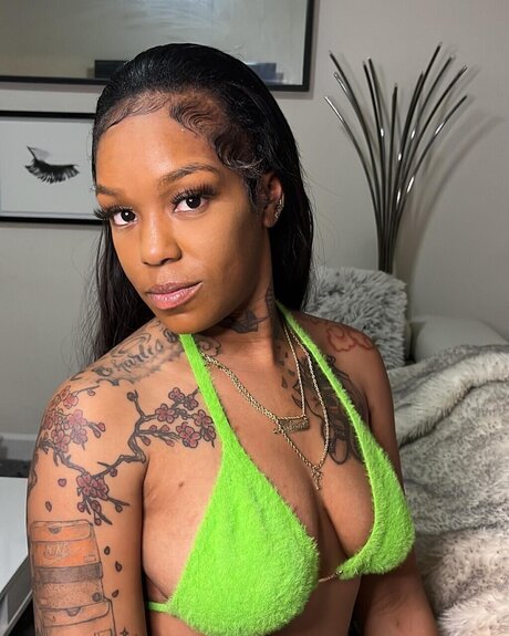 Minivee modèle chaud img