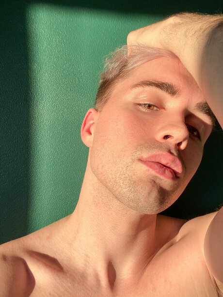 Alessi Leon étoile chaude image