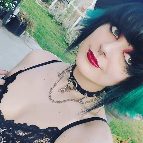 Lavender Puppy art modèle archive