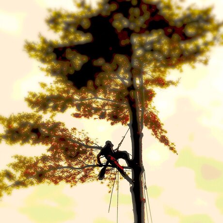 Sayitaintso star du porno de haute qualité photos