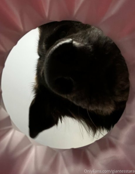 vacances onlyfans beau haut collection