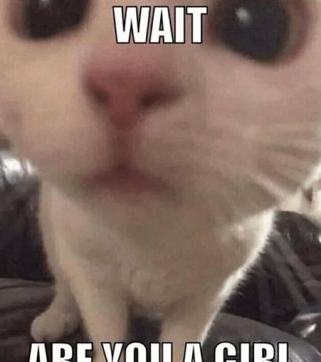 femme seulementfans pornographique exclusif image