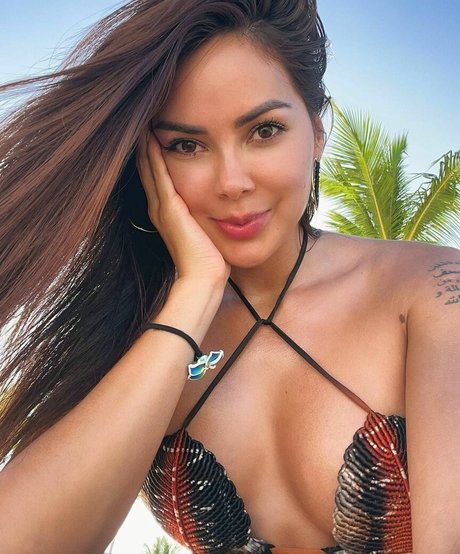 les fans asiatiques les plus sexy haut de gamme des photos