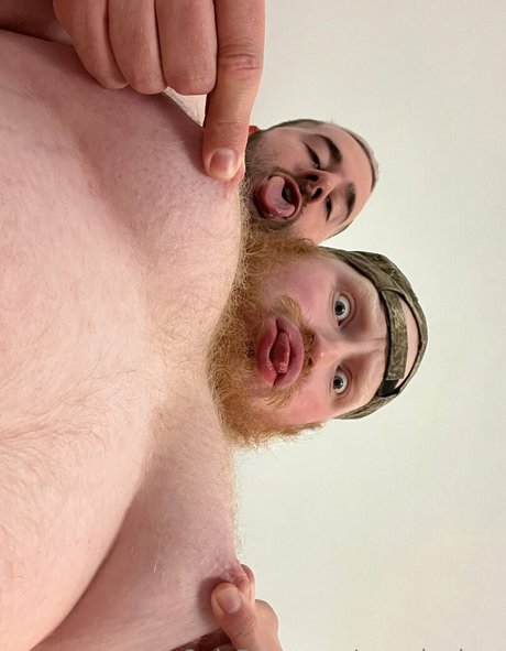 roaminghog art de star du porno image