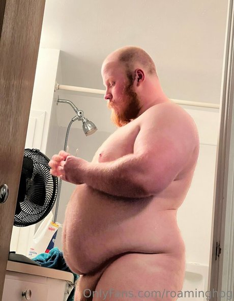 roaminghog sexe star galerie