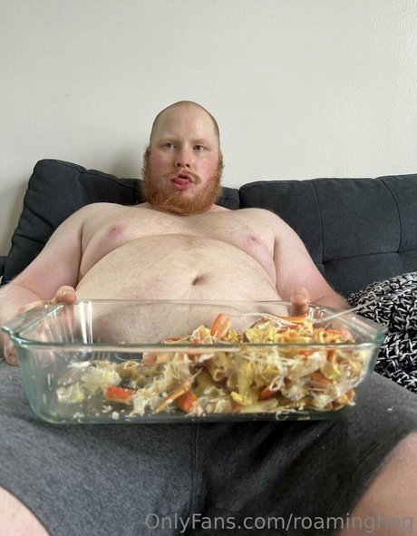 roaminghog étoile de haute qualité photo