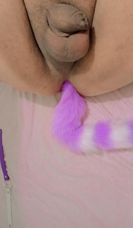 Melissa Isabela étoile de l'art des photos