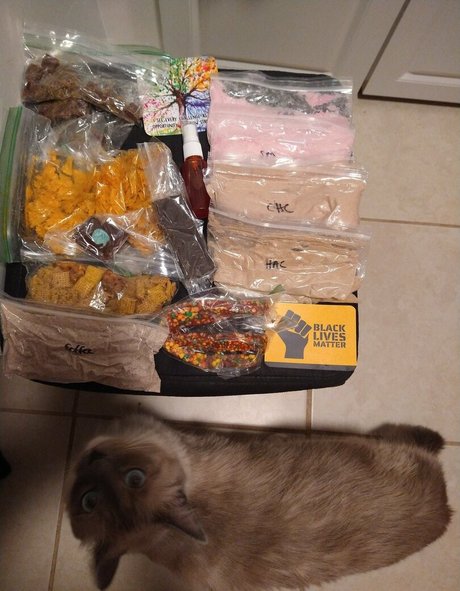 flowerpower87 actrice artistique img