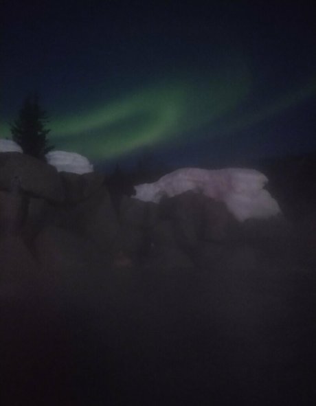 flowerpower87 xxx star du porno collection