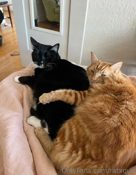 fans emo uniquement top exclusif collection