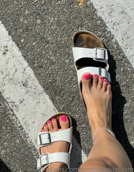 fans danal épais uniquement pornographique en haute définition image