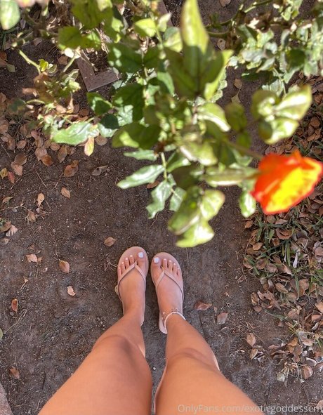 milf aux cheveux noirs onlyfans pornographique gratuit collection