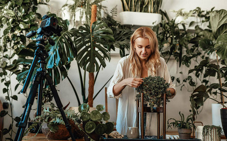 more than palnts jolie étoile photo