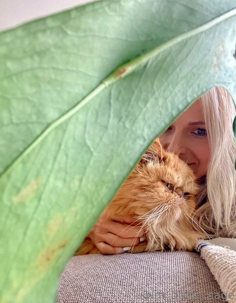 more than palnts art de star du porno des photos