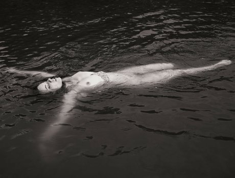 entraînement en salle de sport uniquement pour les fans adulte galeries
