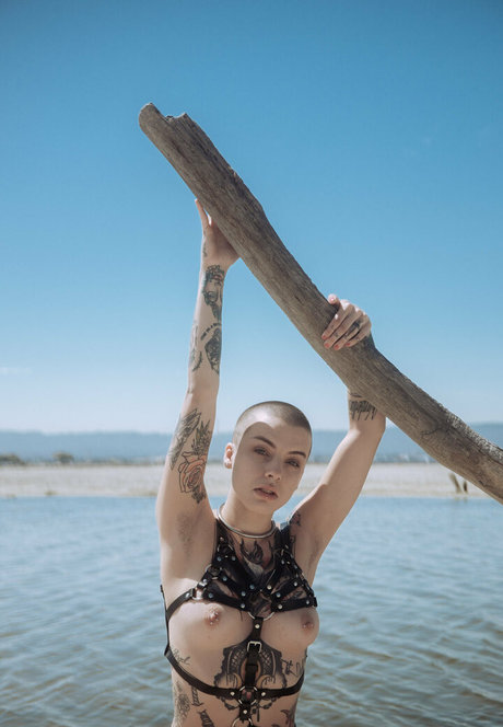 fans uniquement du dmv adulte gratuit images