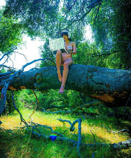 Kate Baum étoile adulte galeries