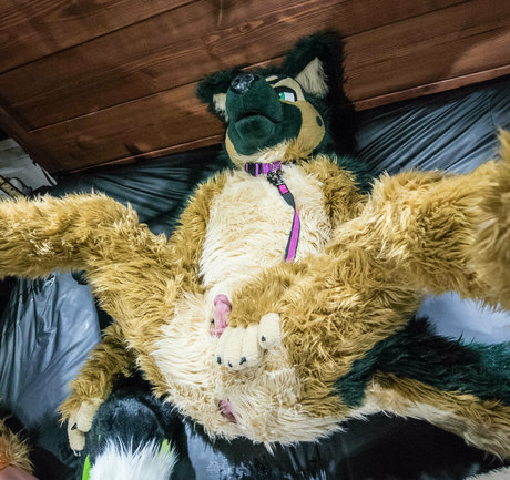 anejo xxx kaii étoile adulte archive