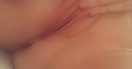 chaton potelé uniquementfans chaud parfait collection