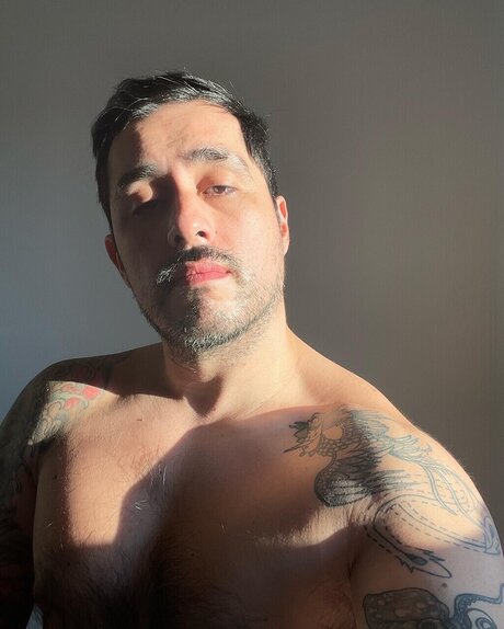 Taco EverX étoile de haute qualité galeries