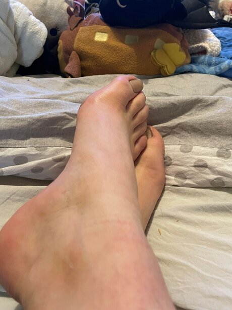 Idrayal étoile magnifique collection