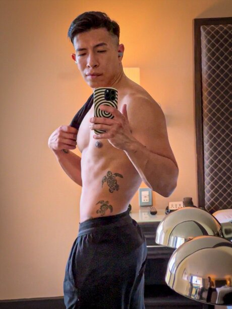 u7624930 joli modèle galeries