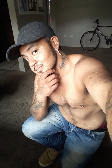 FTMAJ89 haut modèle image