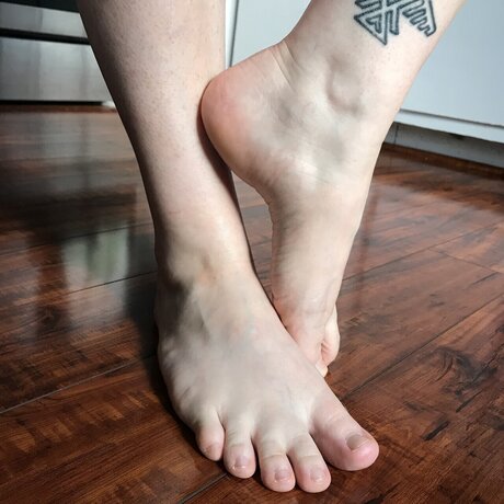 Alexis Poti étoile de l'art galeries