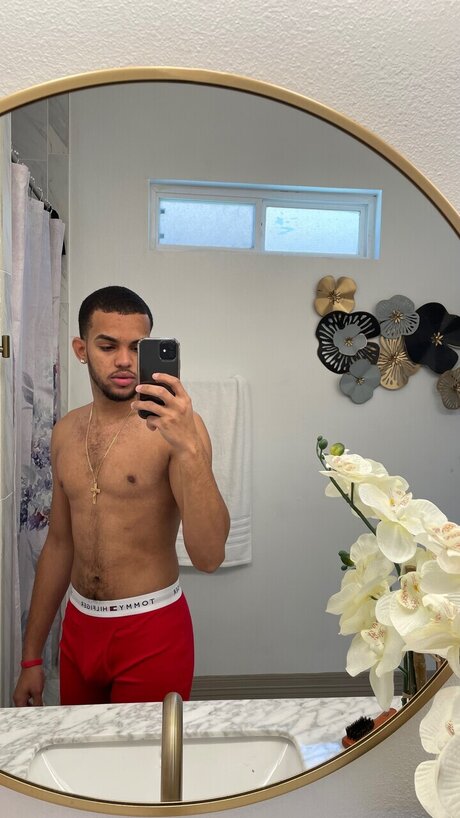 Brandor Pe a étoile de haute qualité img