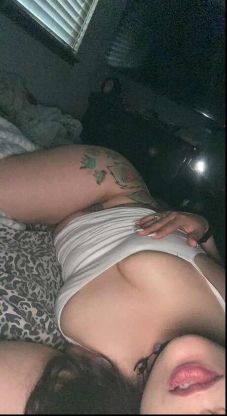 Zaaadeee nus étoiles img