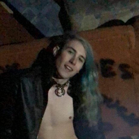 Bosco Bitch étoile de l'art photos