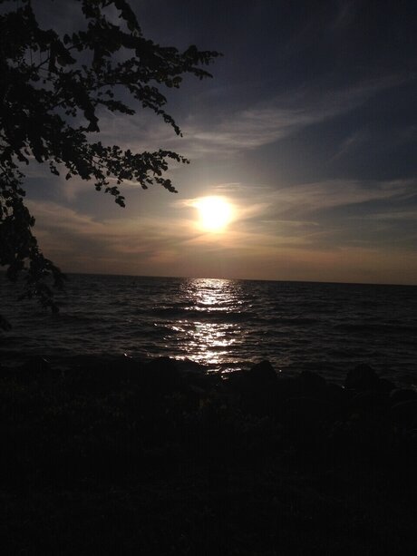 Aubri Hendricks modèle meilleur img