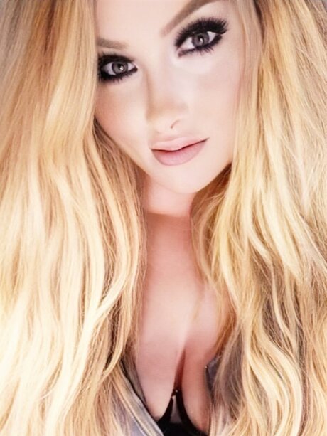 Tabby étoile images