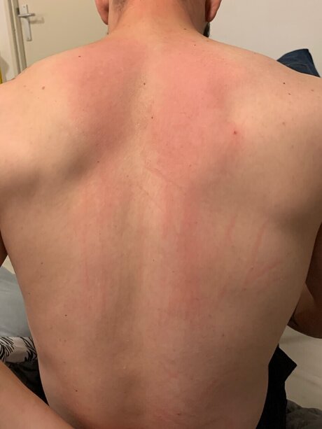 Eligos art de star du porno img