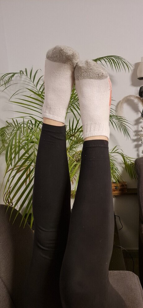 Feet dreams meilleure star du porno archive