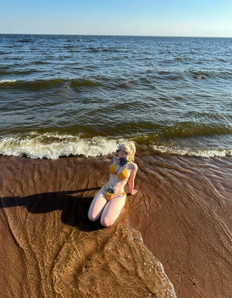 Aorta top star photo