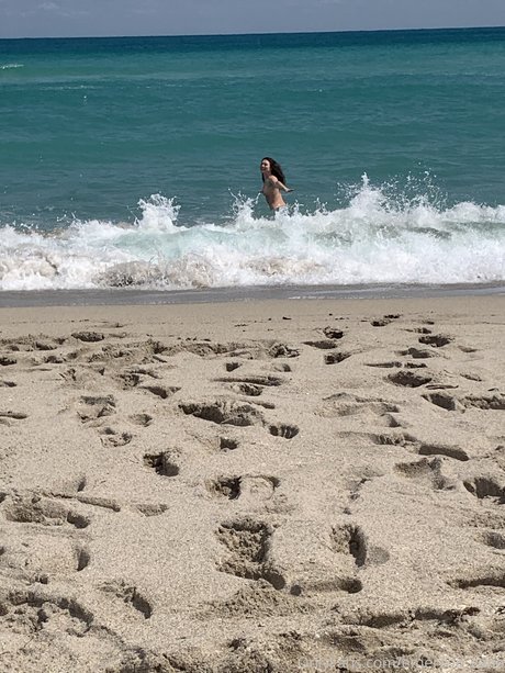 Emerson cane modèle chaud galeries