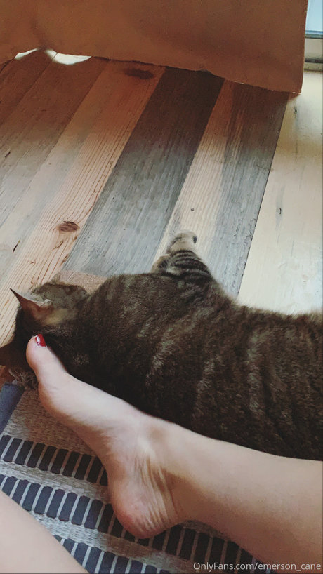 cosplay chatte onlyfans érotique chaud photo