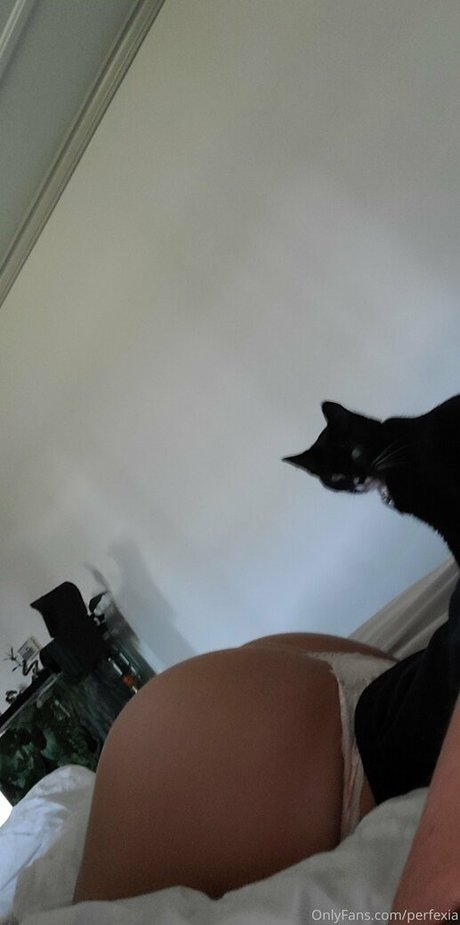 fans de salle de sport uniquement haute qualité meilleur archive