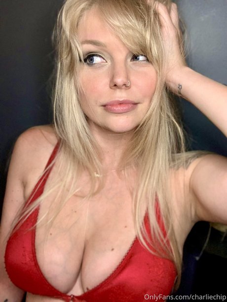 méga fans uniquement art chaud img